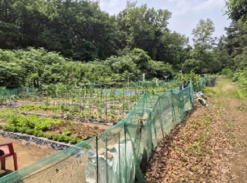 2025타경385 경상북도 포항시 남구 오천읍 원리 718-2 농지 경매 이미지