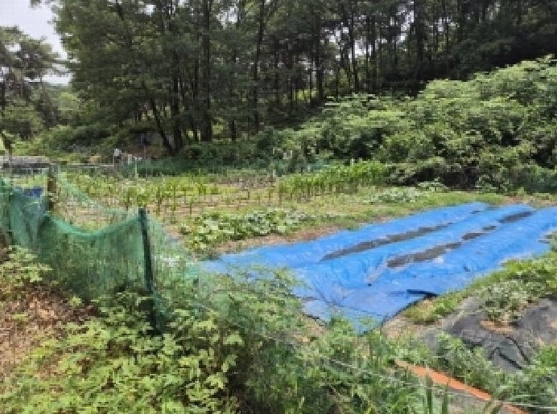 2025타경385 경상북도 포항시 남구 오천읍 원리 718-2 농지 경매 이미지