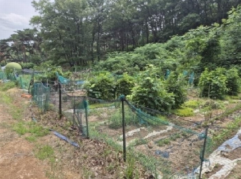 2025타경385 경상북도 포항시 남구 오천읍 원리 718-2 농지 경매 이미지