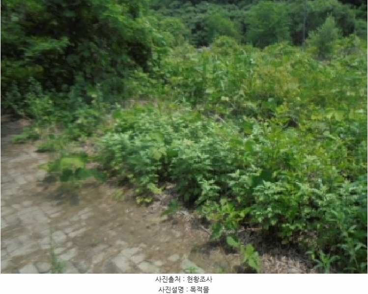 2025타경1173 충청북도 충주시 주덕읍 화곡리 1429 대지 경매 이미지