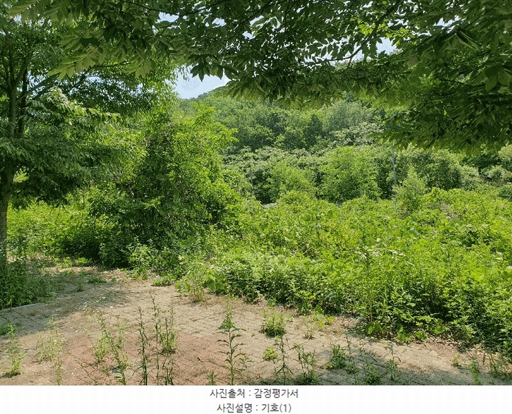 2025타경1173 충청북도 충주시 주덕읍 화곡리 1429 대지 경매 이미지
