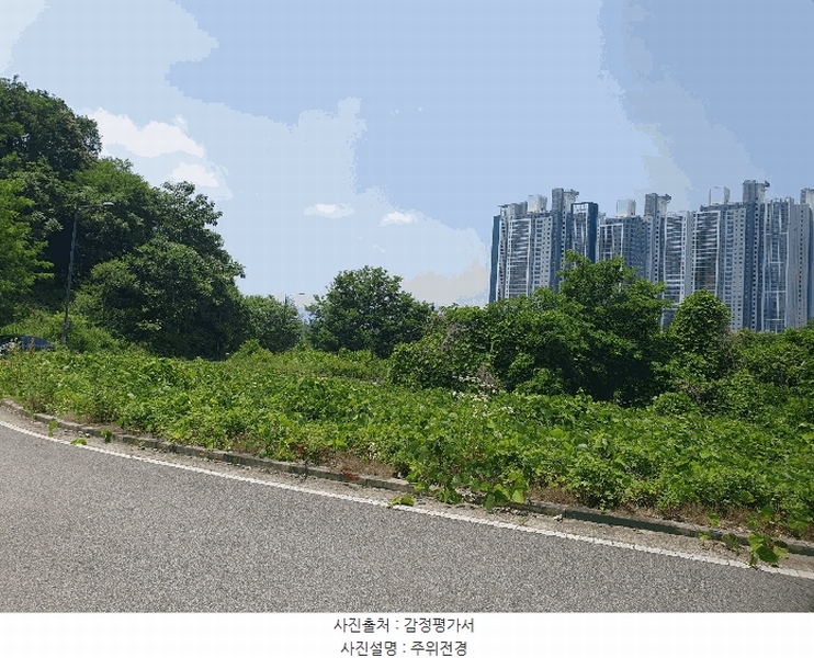 2025타경1173 충청북도 충주시 주덕읍 화곡리 1429 대지 경매 이미지