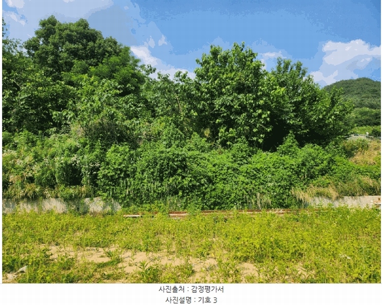 2025타경1319 충청북도 충주시 엄정면 추평리 302-2 농지 경매 이미지