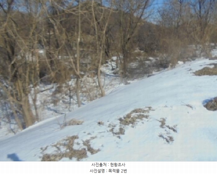 2025타경30263 충청북도 충주시 대소원면 금곡리 산33 임야 경매 이미지