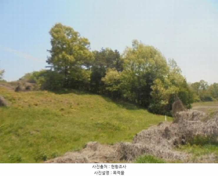 2025타경30510 충청북도 충주시 중앙탑면 장천리 709 임야 경매 이미지