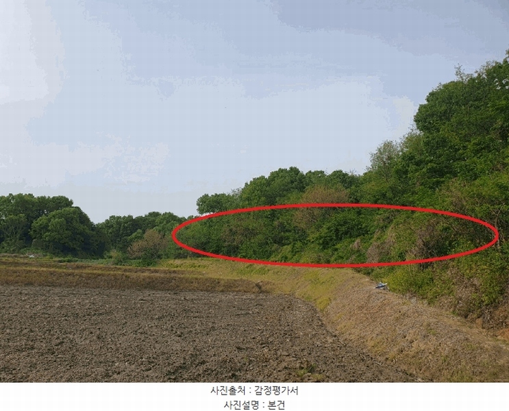 2025타경30510 충청북도 충주시 중앙탑면 장천리 709 임야 경매 이미지
