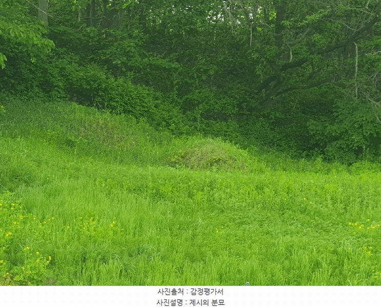 2025타경30510 충청북도 충주시 중앙탑면 장천리 709 임야 경매 이미지