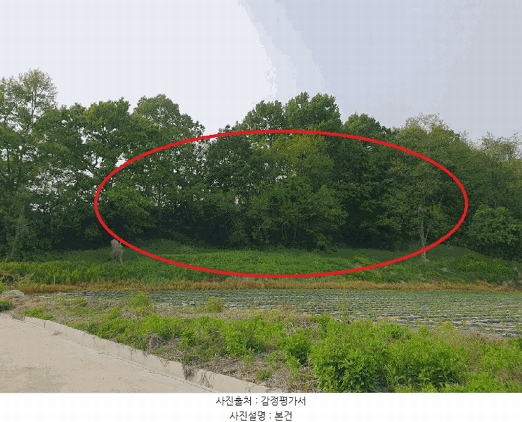 2025타경30510 충청북도 충주시 중앙탑면 장천리 709 임야 경매 이미지