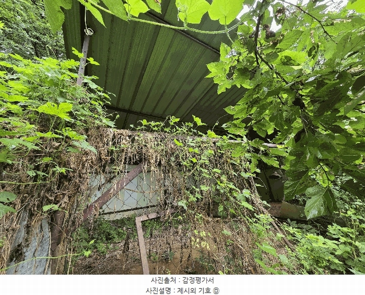 2025타경30510 충청북도 충주시 중앙탑면 장천리 709 임야 경매 이미지