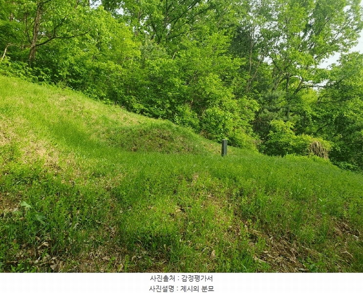 2025타경30510 충청북도 충주시 중앙탑면 장천리 709 임야 경매 이미지
