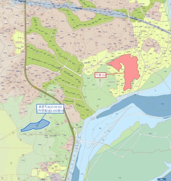 2025타경30510 충청북도 충주시 중앙탑면 장천리 709 임야 경매 이미지