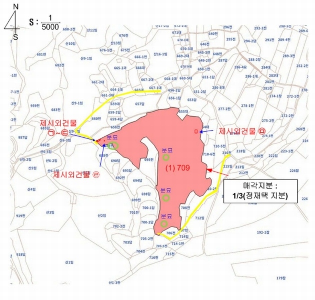 2025타경30510 충청북도 충주시 중앙탑면 장천리 709 임야 경매 이미지