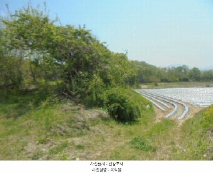 2025타경30510 충청북도 충주시 중앙탑면 장천리 709 임야 경매 이미지