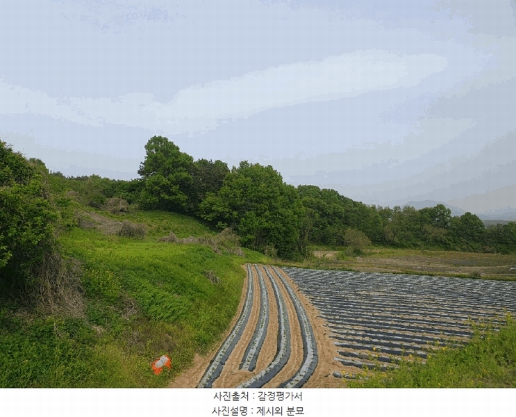 2025타경30510 충청북도 충주시 중앙탑면 장천리 709 임야 경매 이미지
