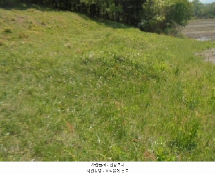 2025타경30510 충청북도 충주시 중앙탑면 장천리 709 임야 경매 이미지