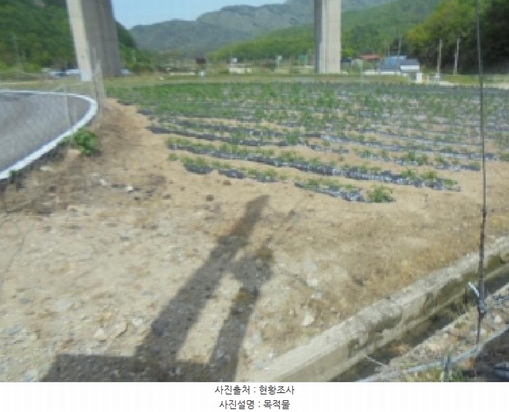 2025타경30515 충청북도 충주시 소태면 주치리 14-1 농지 경매 이미지