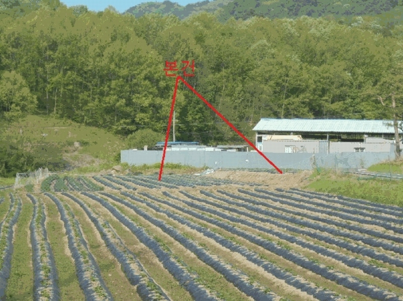 2025타경30515 충청북도 충주시 소태면 주치리 14-1 농지 경매 이미지
