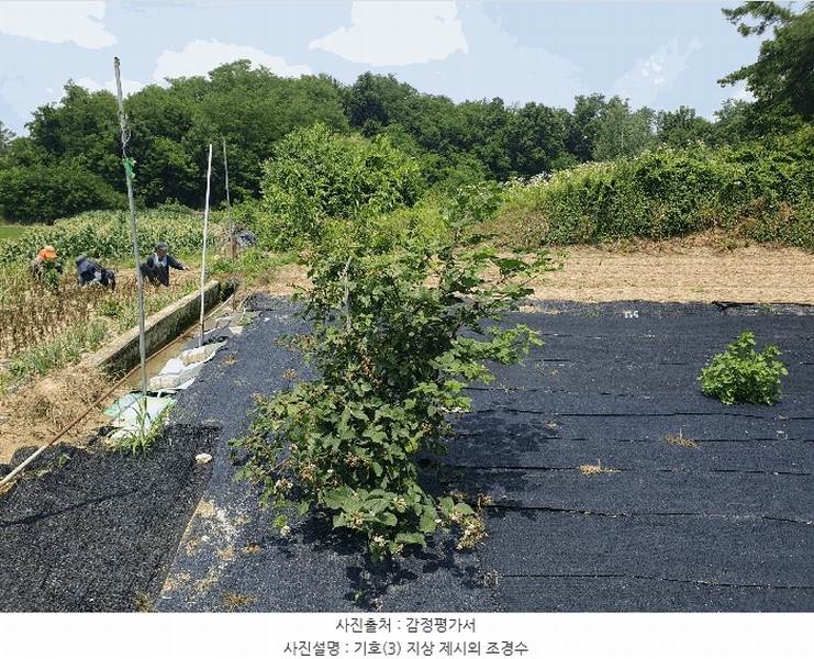 2025타경30579 충청북도 충주시 금가면 잠병리 53-1 농지 경매 이미지