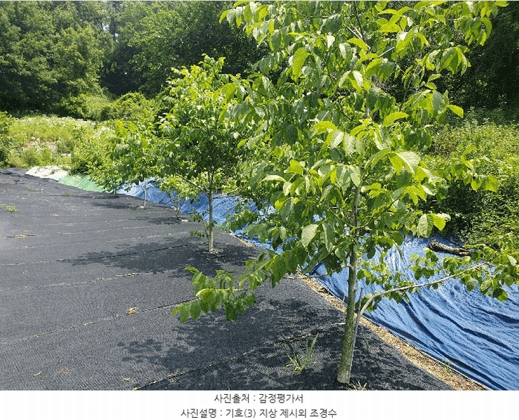 2025타경30579 충청북도 충주시 금가면 잠병리 53-1 농지 경매 이미지