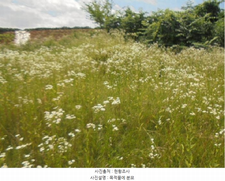 2025타경30609 충청북도 충주시 금가면 사암리 154-1 농지 경매 이미지