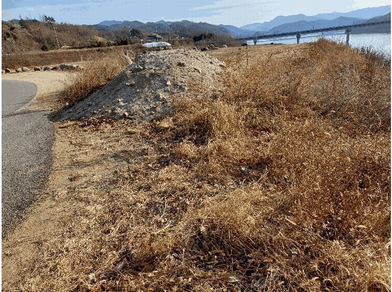 2025타경10228 경상북도 영주시 평은면 평은리 산90 임야 경매 이미지
