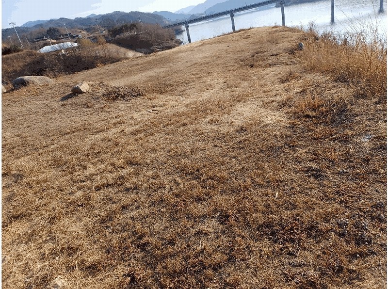 2025타경10228 경상북도 영주시 평은면 평은리 산90 임야 경매 이미지