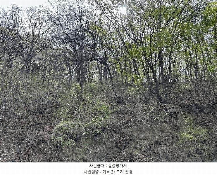 2024타경2902 경상남도 김해시 한림면 안곡리 624-11 임야 경매 이미지