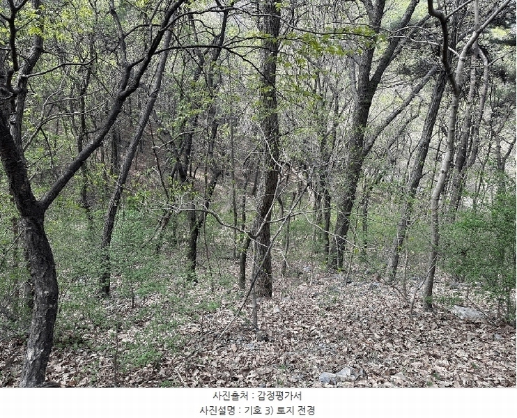 2024타경2902 경상남도 김해시 한림면 안곡리 624-11 임야 경매 이미지