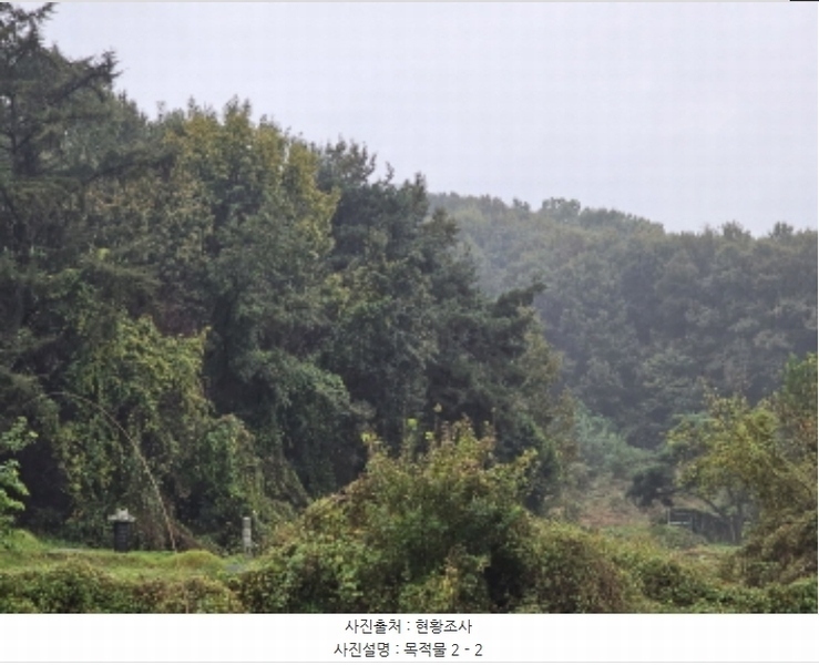 2024타경3110 충청북도 음성군 생극면 송곡리 산15-11 임야 경매 이미지