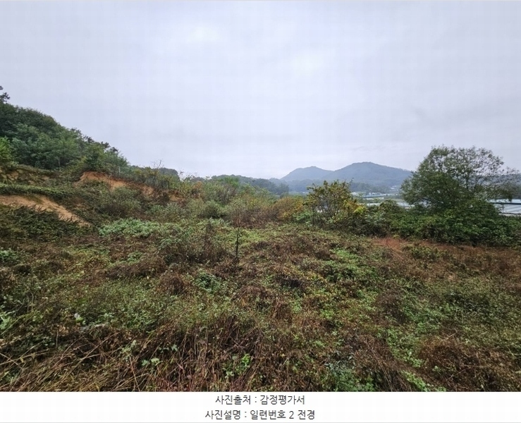 2024타경3110 충청북도 음성군 생극면 송곡리 산15-11 임야 경매 이미지