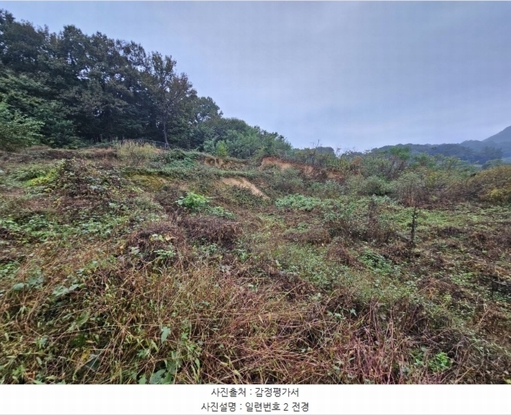 2024타경3110 충청북도 음성군 생극면 송곡리 산15-11 임야 경매 이미지