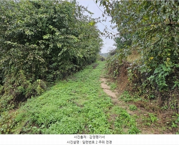 2024타경3110 충청북도 음성군 생극면 송곡리 산15-11 임야 경매 이미지