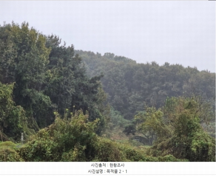 2024타경3110 충청북도 음성군 생극면 송곡리 산15-11 임야 경매 이미지