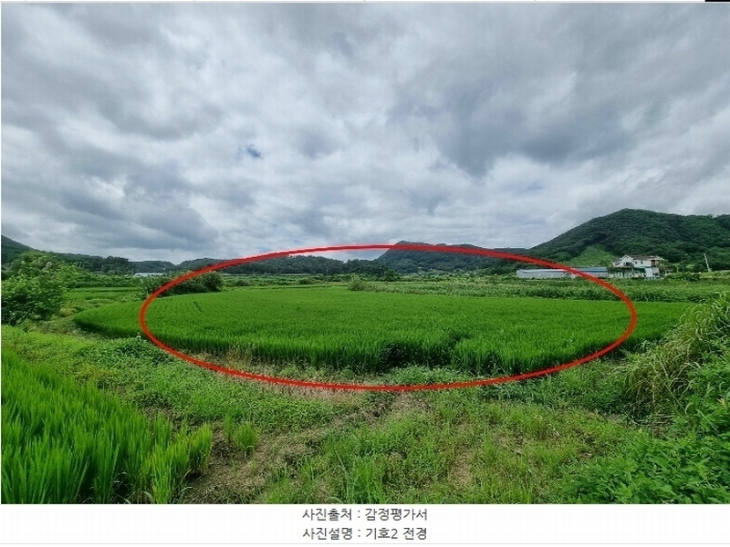 2024타경33661 충청북도 음성군 원남면 보천리 492 농지 경매 이미지