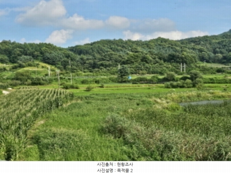 2024타경33661 충청북도 음성군 원남면 보천리 492 농지 경매 이미지