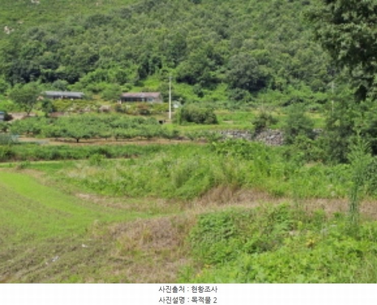 2024타경33784 충청북도 충주시 대소원면 탄용리 319 농지 경매 이미지