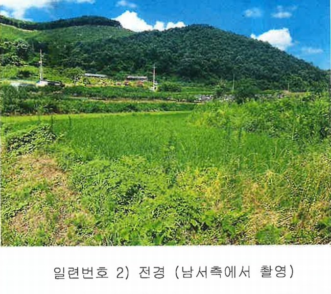 2024타경33784 충청북도 충주시 대소원면 탄용리 319 농지 경매 이미지