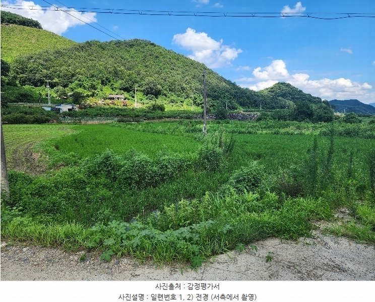 2024타경33784 충청북도 충주시 대소원면 탄용리 319 농지 경매 이미지