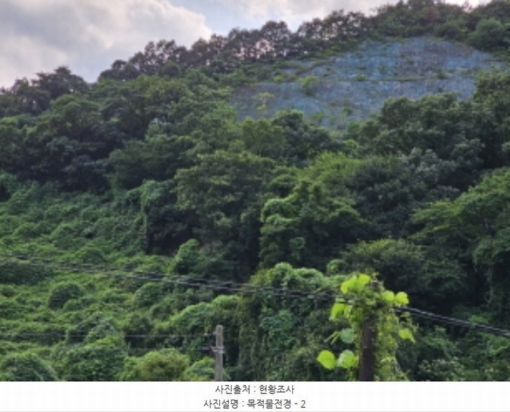 2024타경33814 충청북도 충주시 대소원면 문주리 산25-9 임야 경매 이미지