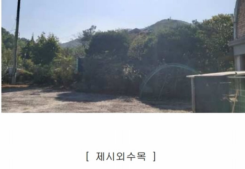 2024타경34534 충청북도 충주시 노은면 법동리 413-1 숙박시설 경매 이미지