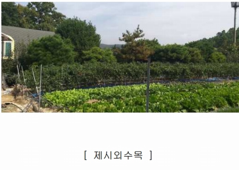 2024타경34534 충청북도 충주시 노은면 법동리 413-1 숙박시설 경매 이미지
