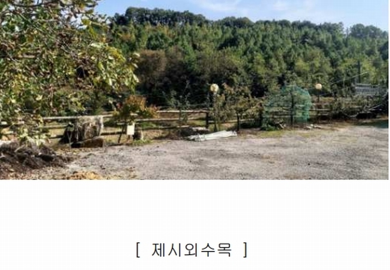 2024타경34534 충청북도 충주시 노은면 법동리 413-1 숙박시설 경매 이미지