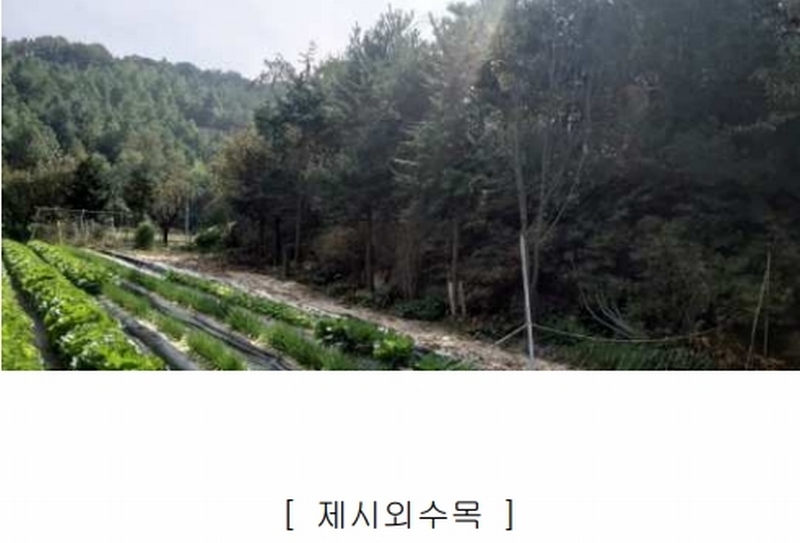 2024타경34534 충청북도 충주시 노은면 법동리 413-1 숙박시설 경매 이미지