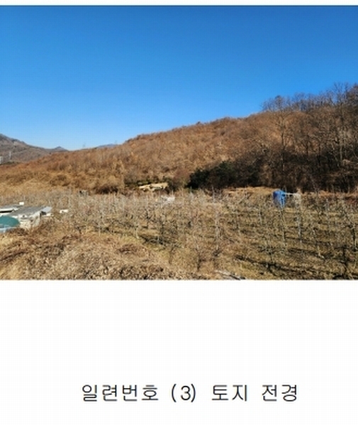 2024타경36141 충청북도 음성군 음성읍 소여리 509-3 임야 경매 이미지