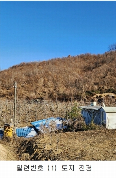 2024타경36141 충청북도 음성군 음성읍 소여리 509-3 임야 경매 이미지