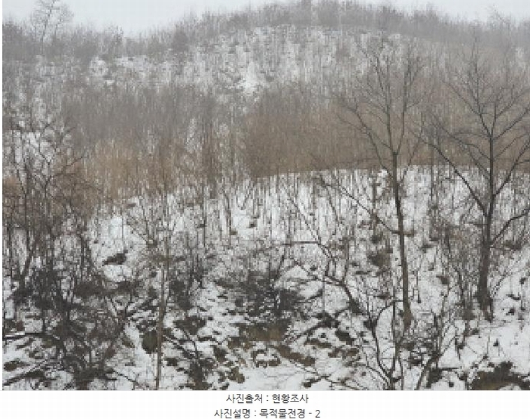 2024타경36141 충청북도 음성군 음성읍 소여리 509-3 임야 경매 이미지
