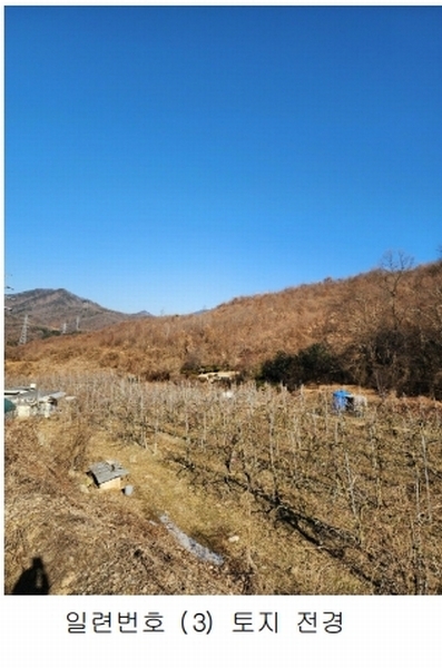 2024타경36141 충청북도 음성군 음성읍 소여리 509-3 임야 경매 이미지