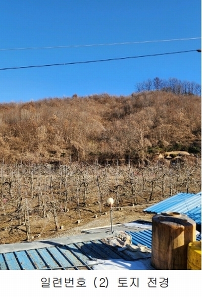 2024타경36141 충청북도 음성군 음성읍 소여리 509-3 임야 경매 이미지