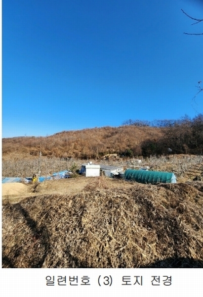 2024타경36141 충청북도 음성군 음성읍 소여리 509-3 임야 경매 이미지