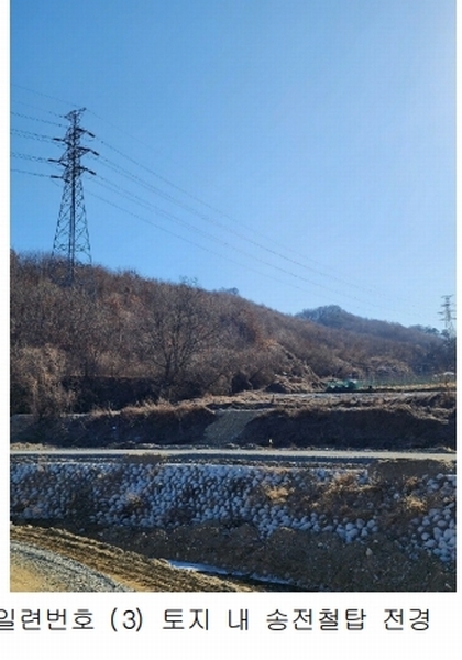 2024타경36141 충청북도 음성군 음성읍 소여리 509-3 임야 경매 이미지